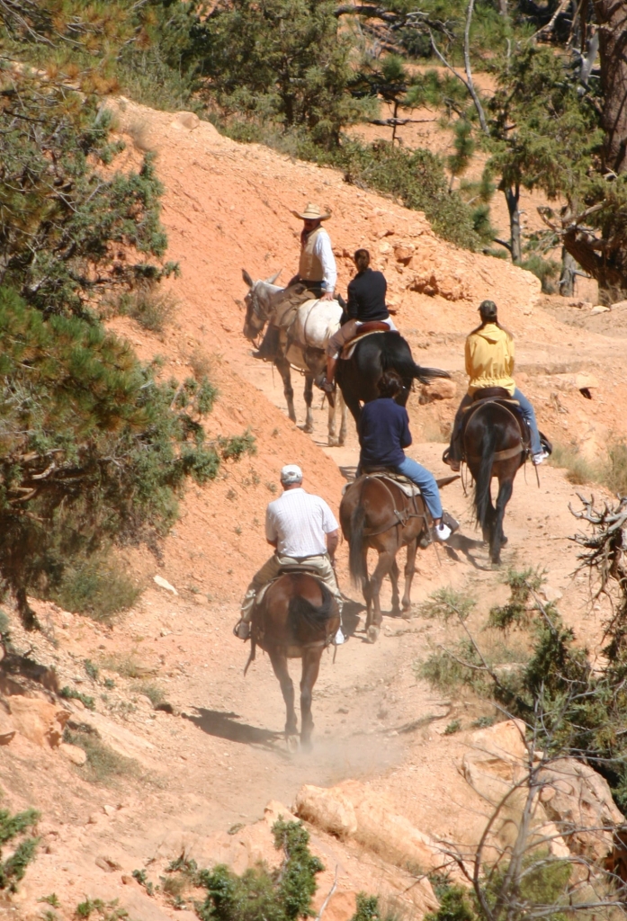 06 - Bryce Canyon NP (10).jpg